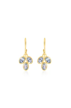 Husk Agave Earring - Gold