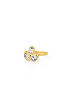 Husk Agave Ring - Gold