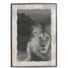 Husk BONE FRAME - Bone