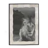 Husk BONE FRAME - Bone