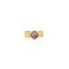 Husk Pia Ring - Gold