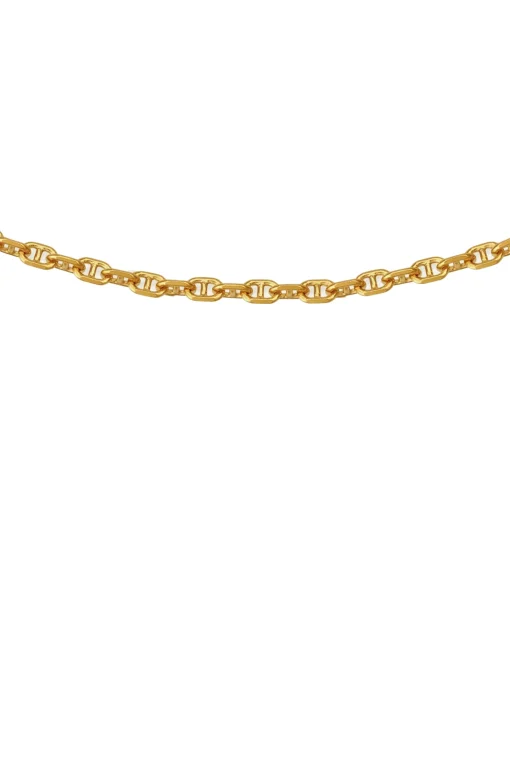 Temple Of The Sun Mariner Chain - Gold